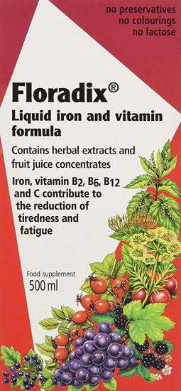 Picture of Floradix Liquid Iron Formula 500ml