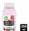 Picture of Alberto Balsam Sunkissed Raspberry Conditioner, 350ml